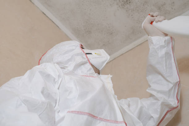 Best Emergency Mold Removal  in Karnes City, TX