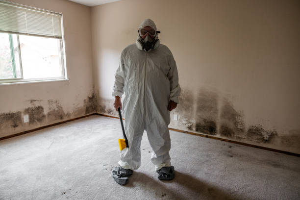 Best Same-Day Mold Removal  in Karnes City, TX